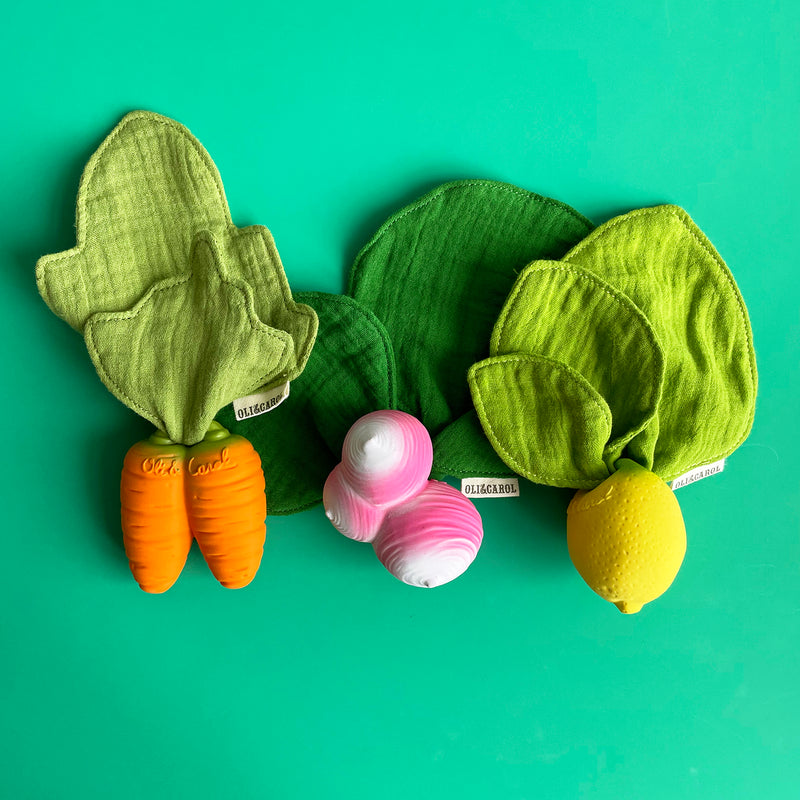 Vegetable Mini DouDou Teether