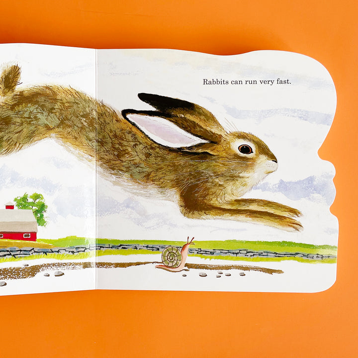 Richard Scarry's Bunnies