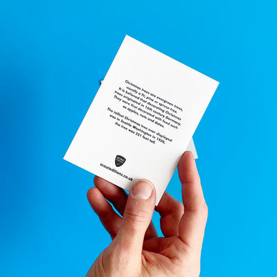 Mini Cards: Holiday
