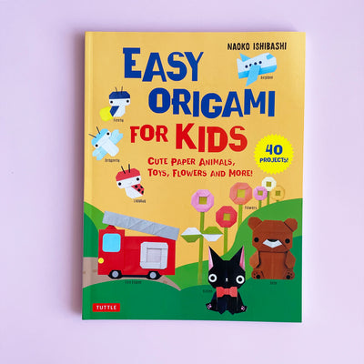 Insect Origami Kit – Fair Play Projects